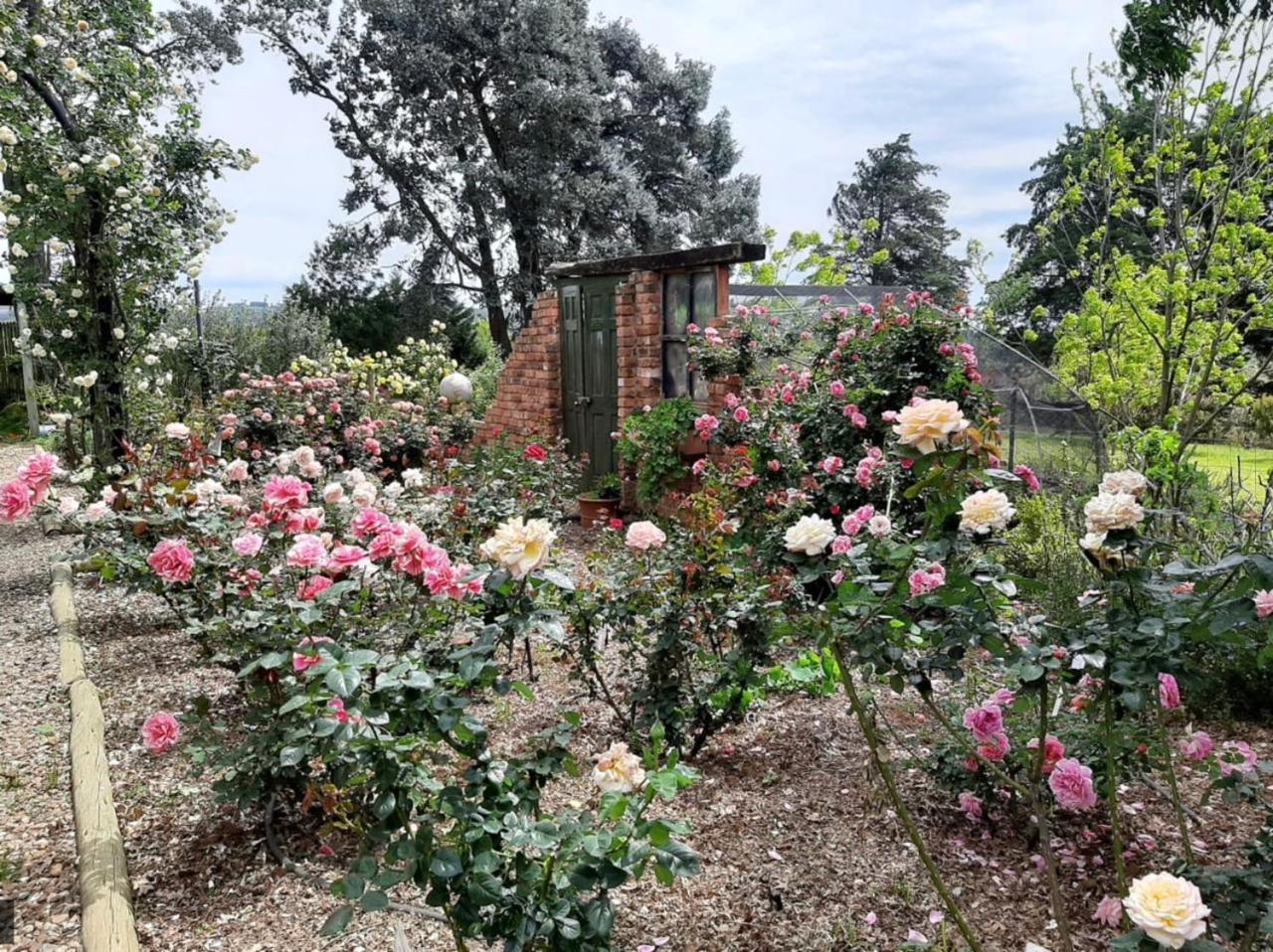 Ama Casa Cottages Champagne Valley Екстер'єр фото
